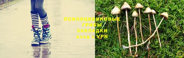 СК Аркадак
